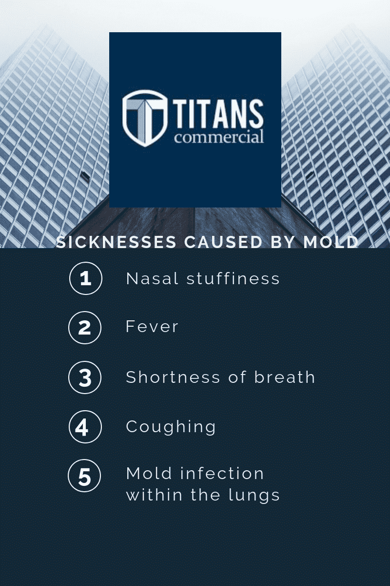 Mold Sickness Infographic
